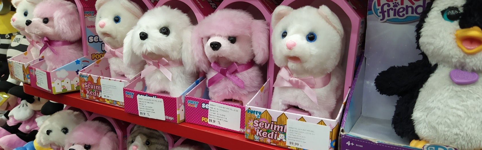 Oyuncaklarda Cinsiyet Kontrastı